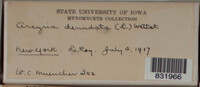 Image Associated With the Occurence